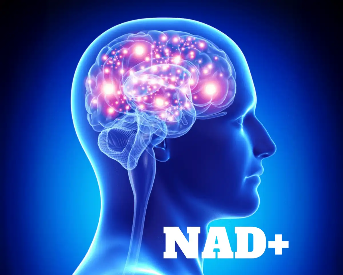 nad-plus